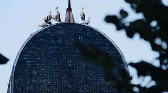 A vol d’oiseau
